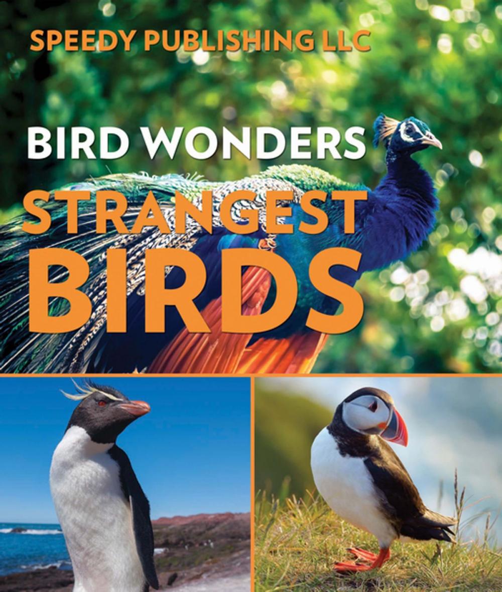 Big bigCover of Bird Wonders - Strangest Birds