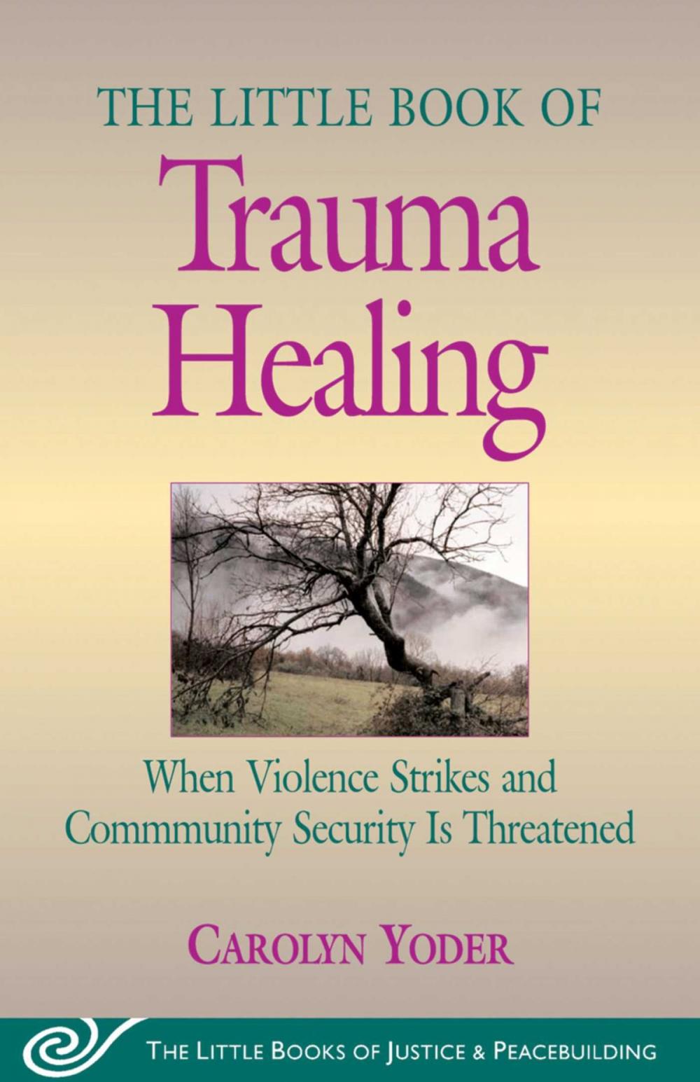 Big bigCover of Little Book of Trauma Healing