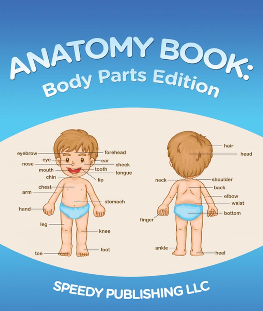 Big bigCover of Anatomy Book: Body Parts Edition