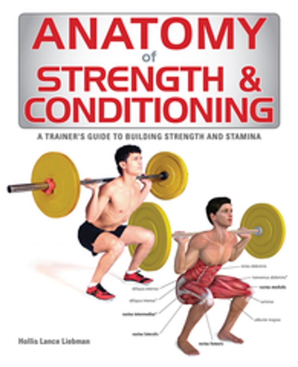 Big bigCover of Anatomy of Strength and Conditioning
