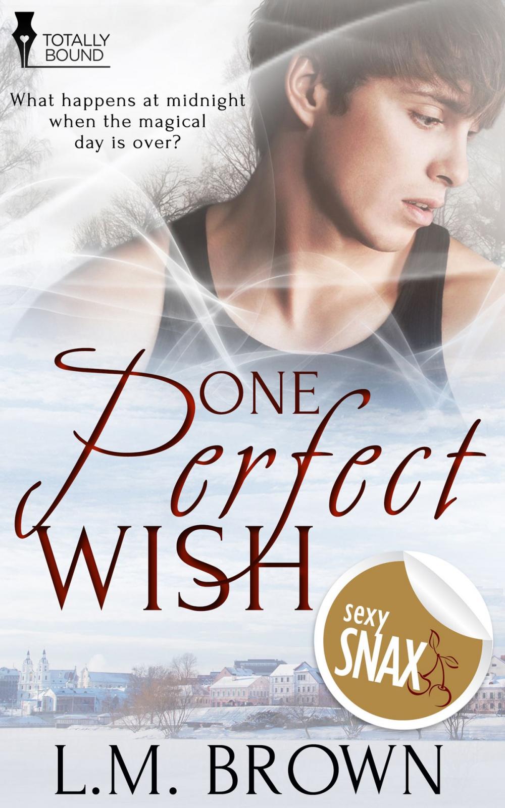 Big bigCover of One Perfect Wish