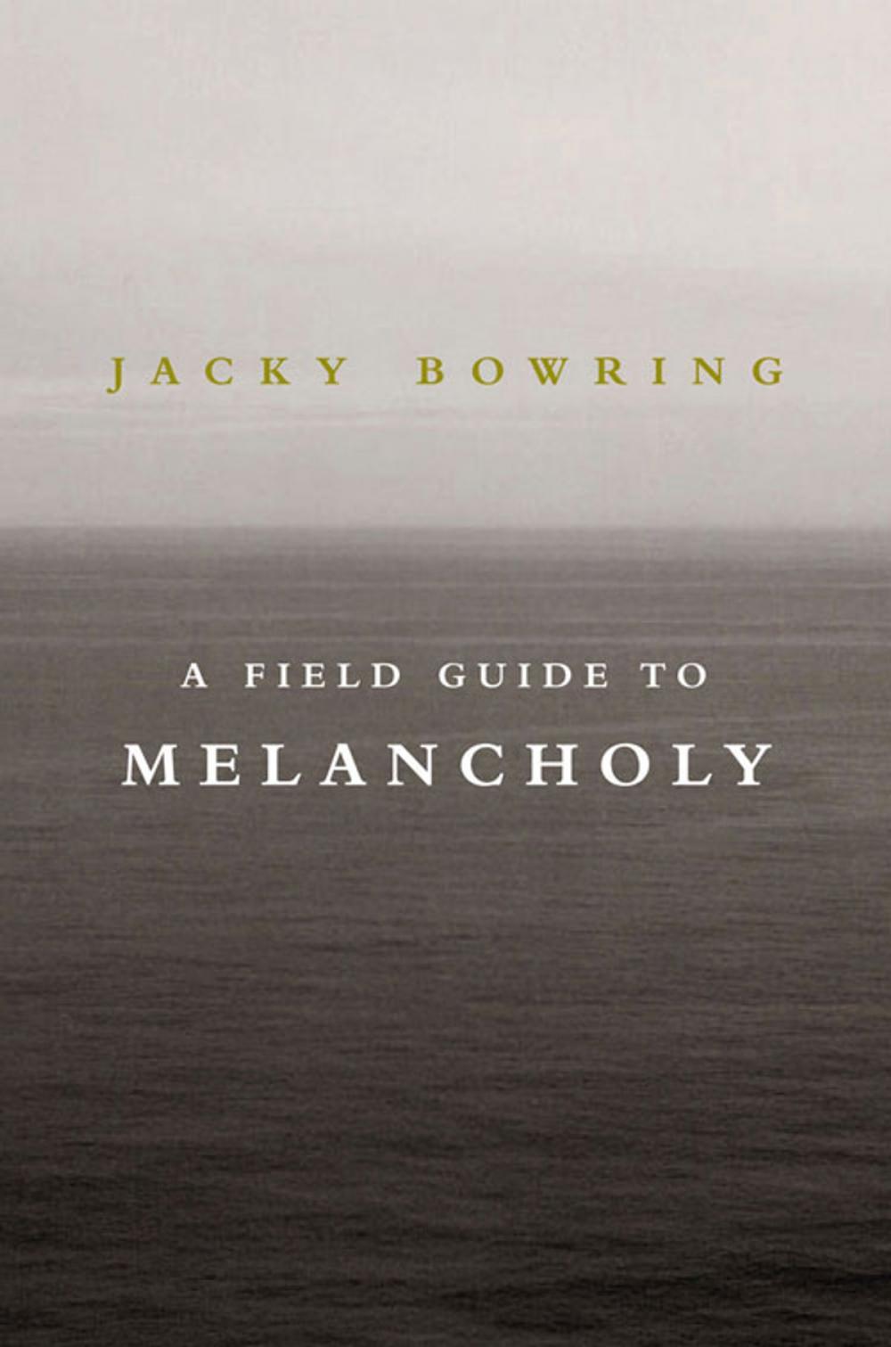 Big bigCover of A Field Guide to Melancholy