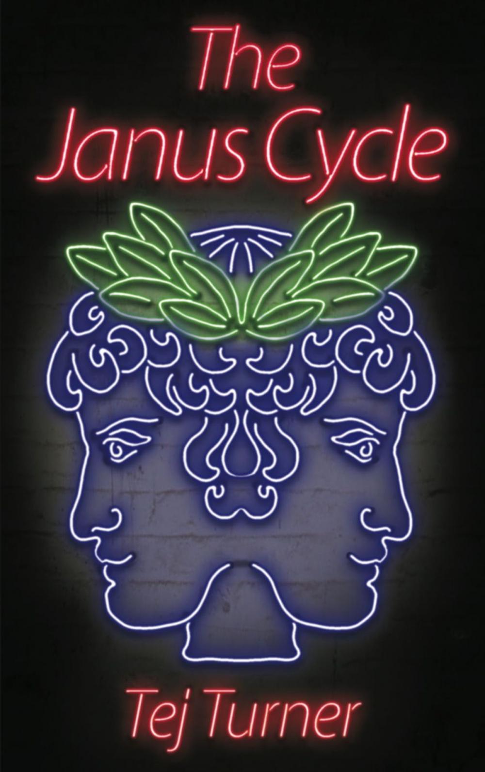 Big bigCover of The Janus Cycle