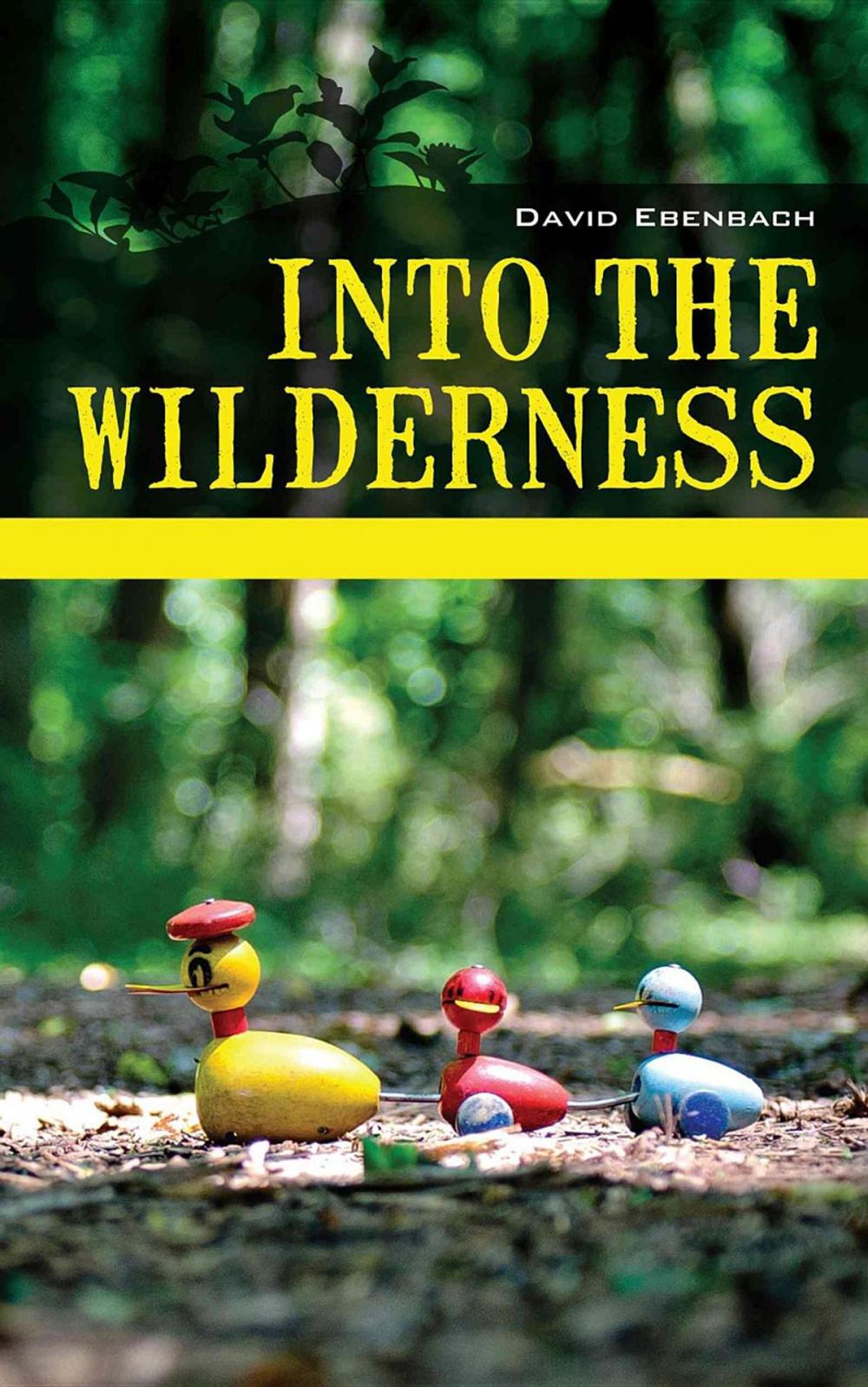 Big bigCover of Into the Wilderness