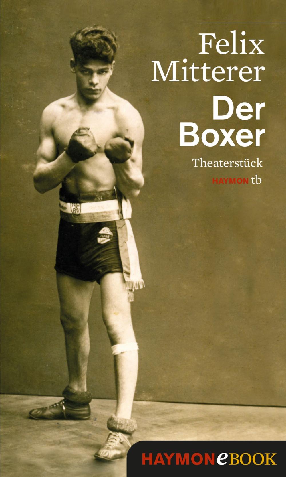 Big bigCover of Der Boxer