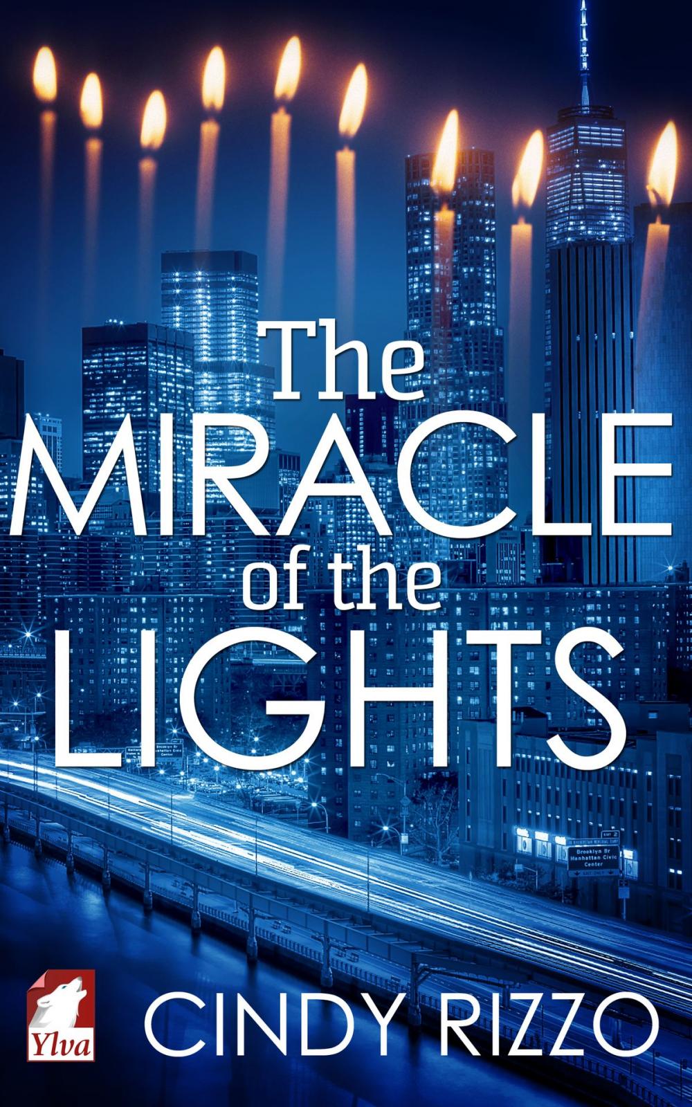 Big bigCover of The Miracle of the Lights