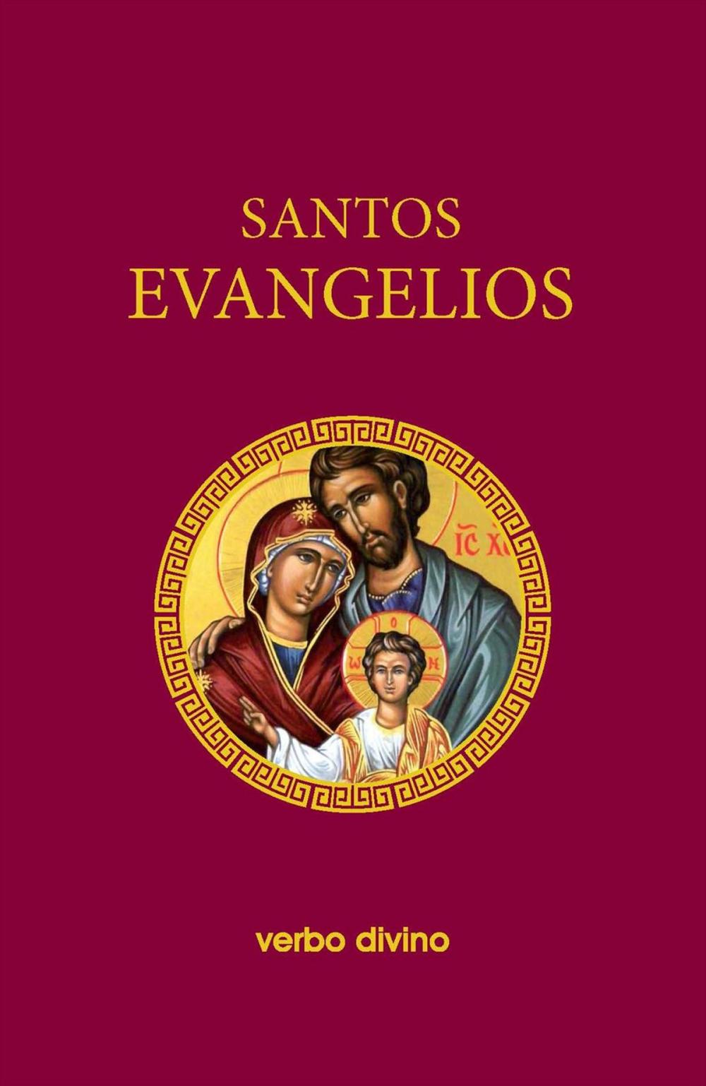 Big bigCover of Santos Evangelios