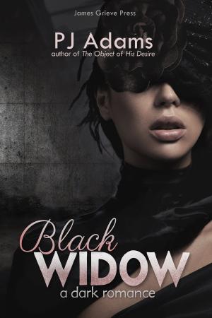 Cover of the book Black Widow by Hector Macdonald