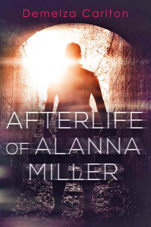 bigCover of the book Afterlife of Alanna Miller by 