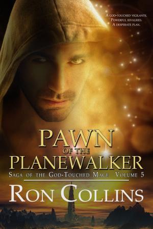 Cover of the book Pawn of the Planewalker by Jane Lindskold