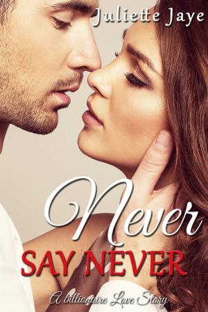 Cover of the book Never Say Never (A Billionaire Love Story) by Juliette Jaye