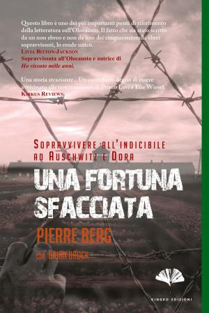 Cover of the book Una fortuna sfacciata by Emilio Salgari