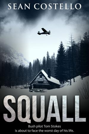Cover of the book Squall by Ted Haynes