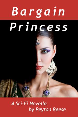 Book cover of Bargain Princess