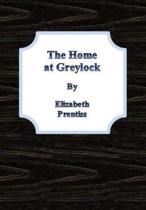 Cover of the book The Home at Greylock by John Buchan