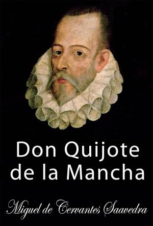 Book cover of Don Quijote de la Mancha