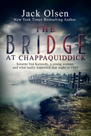 Cover of the book The Bridge at Chappaquiddick by Gregg Olsen, Rebecca Morris