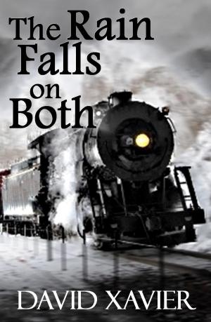Book cover of The Rain Falls On Both