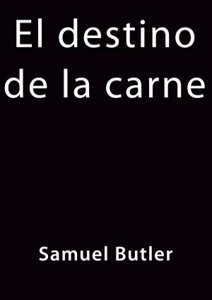 Cover of the book El destino de la carne by Julio Verne