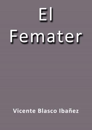 Cover of the book El femater by J.borja