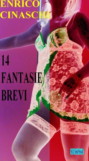 Cover of the book 14 fantasie brevi by Enrico Cinaschi