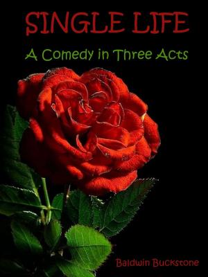 Cover of the book Single Life : A Comedy in Three Acts (Illustrated) by John Hay, John G. Nicolay