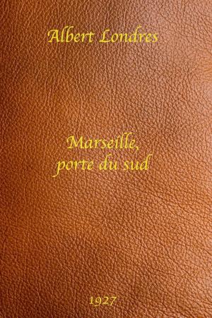 Book cover of Marseille, porte du sud