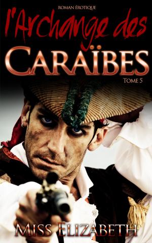 Cover of Roman Érotique l'Archange des Caraïbes tome 5