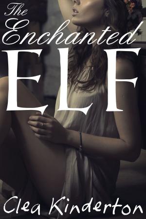 Cover of the book The Enchanted Elf by R N Stephenson