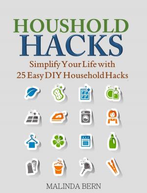 Cover of the book Household Hacks by Christophe Geoffrion