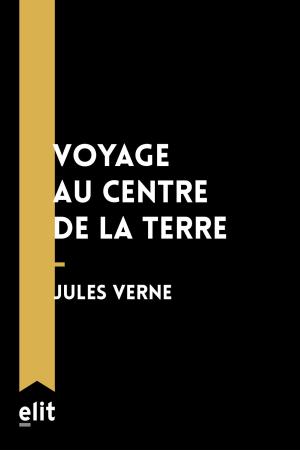 Cover of the book Voyage au centre de la Terre by Emile Zola