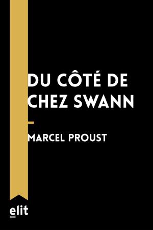 Book cover of Du côté de chez Swann