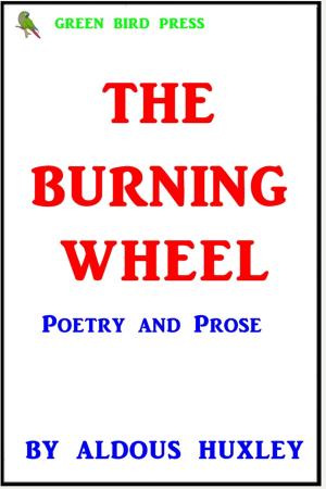 Cover of the book The Burning Wheel by Alphonse Daudet