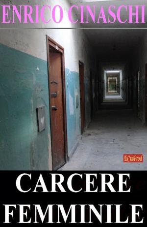 Cover of the book Carcere femminile by Brantwijn Serrah