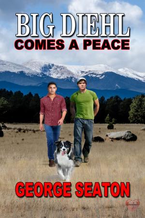 Cover of the book Comes A Peace by Barry Brennessel
