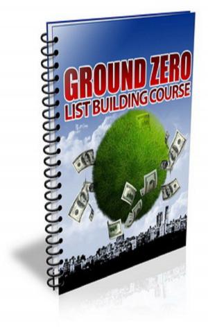Cover of Ground Zero List Building PLR Newsletter