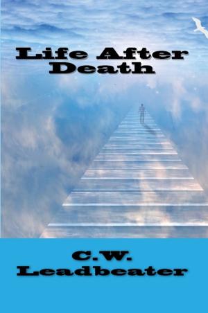 Cover of the book Life After Death by H.P. Blavatsky