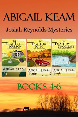 Cover of Josiah Reynolds Mysteries Box Set 2: Death By Bourbon, Death By Lotto, Death By Chocolate