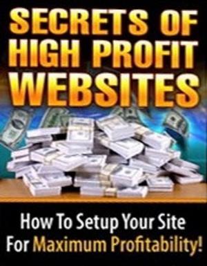 bigCover of the book The Secrets of High Profit Websites by 