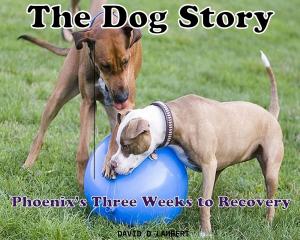 Cover of the book The Dog Story by Elementary School Campers