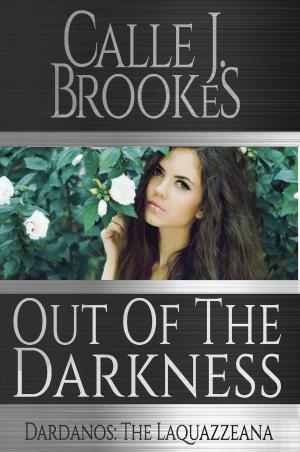 Cover of the book Out of Darkness by Calle J. Brookes