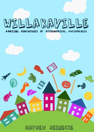 Book cover of Willakaville