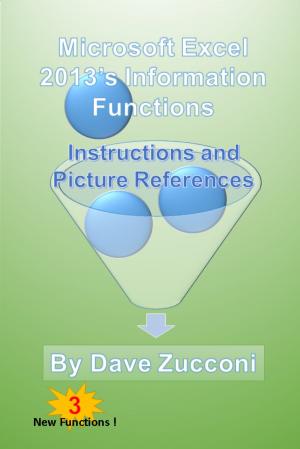 Cover of Microsoft Excel 2013's Information Functions