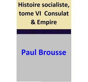 Book cover of Histoire socialiste, tome VI Consulat & Empire