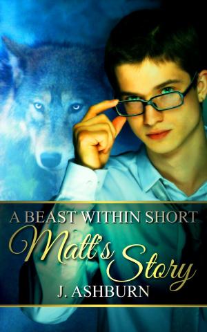 bigCover of the book Matt's Story by 