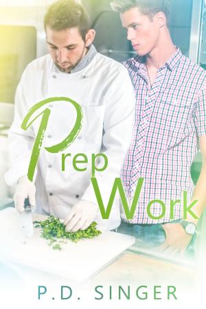 Cover of the book Prep Work by VR Thode