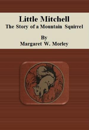 Cover of the book Little Mitchell: The Story of a Mountain Squirrel by Michael Arlen
