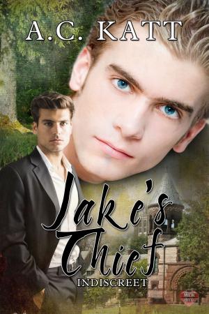 Cover of the book Jake's Thief by D.C. Williams
