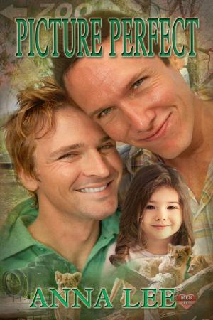 Cover of the book Picture Perfect by Jenn Dease