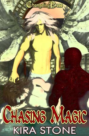 Cover of the book Chasing Magic (Box Set) by A.M. Deese
